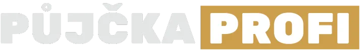 Primary Raster logo